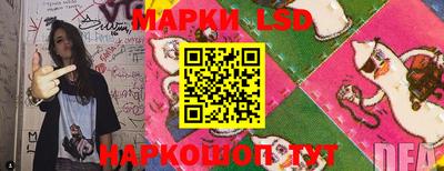 прущие грибы Сланцы