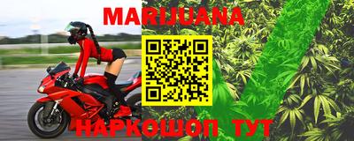 прущие крисы Северобайкальск