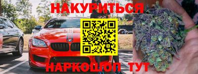 прущие грибы Сланцы